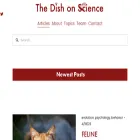 thedishonscience.stanford.edu thedishonscience.stanford.edu