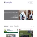 thedoglist.com thedoglist.com