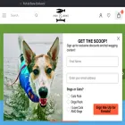 thefishandbone.com thefishandbone.com
