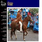 thegaitedhorse.com thegaitedhorse.com