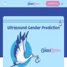 thegenderexperts.com thegenderexperts.com