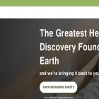 thegrounding.co thegrounding.co