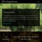thehedgebetween.com thehedgebetween.com