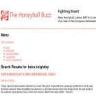 thehoneyballbuzz.com