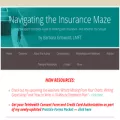 theinsurancemaze.com