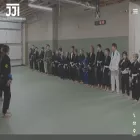 thejji.com