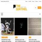 theksusentinel.com theksusentinel.com