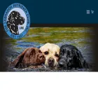 thelabradorclub.com