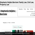 theladybarrister.co.uk