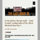 thelastdrivein.com