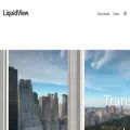 theliquidview.com