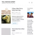 thelivestockexpert.com