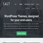 themes.salttechno.com