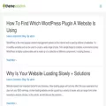 themesolution.net themesolution.net