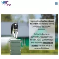 themovingcanine.com