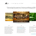 themysteriousmarketer.com themysteriousmarketer.com