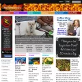 thenewcanadians.com