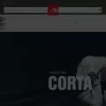 thenorthface.com.br