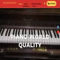 thepianoworld.com
