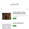therightgardening.com therightgardening.com