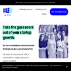 thescaleupcollective.com thescaleupcollective.com