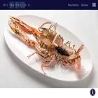 theseafiregrill.com theseafiregrill.com