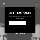 thevetsproject.com