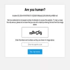 thevisualconnectionwa.com