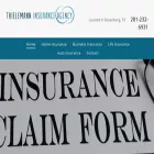 thielemannins.com