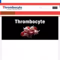 thrombocyte.com thrombocyte.com