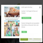 tier-erlebnisparkbell.de