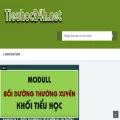 tieuhoc24h.net