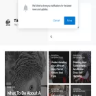 tiktokparrot.com tiktokparrot.com