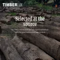 timberluxsrl.com