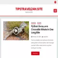 tipstravel24h.site tipstravel24h.site