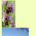 tkgoetz.homepage.t-online.de