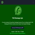 tmwhatsapps.com