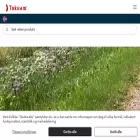 tokvam.no tokvam.no