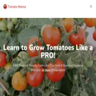 tomatomentor.com tomatomentor.com