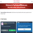 topcasinoaffiliates.com topcasinoaffiliates.com