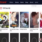 topdammyhay.net