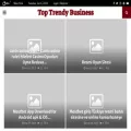 toptrendybusiness.com toptrendybusiness.com