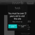 torchenterprise.com