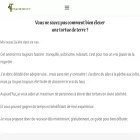 tortue-de-terre.fr tortue-de-terre.fr