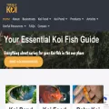 totallykoi.com