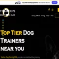 tractiondogtraining.com tractiondogtraining.com
