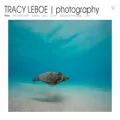 tracyleboe.com tracyleboe.com