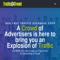 trafficcrowd.com