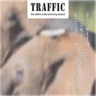 trafficj.org trafficj.org