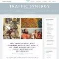 trafficsynergy.co.za